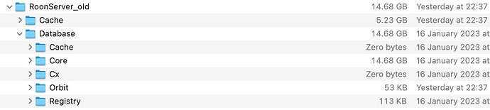 Old Roonserver database