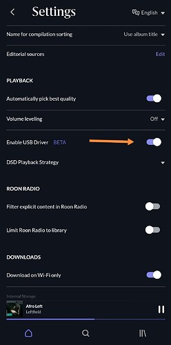 Screenshot_20221231_125717_com.roon.onthego_edit_103939602712264