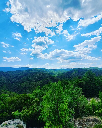 IMG_20210820_110718_395