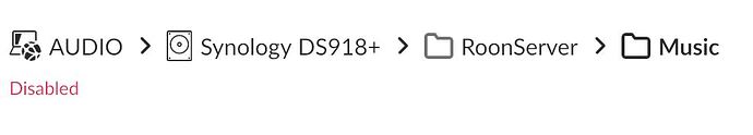 Synology DS918+ - RoonServer - Music