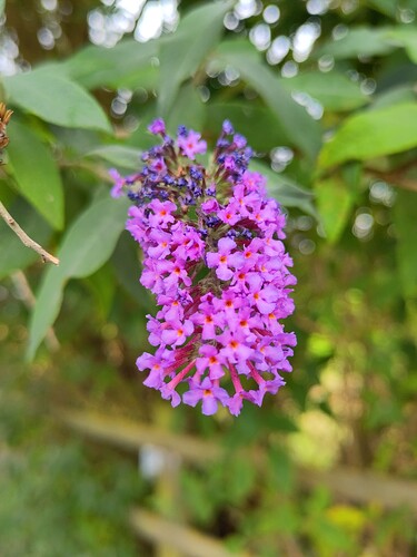 IMG_20230728_141507