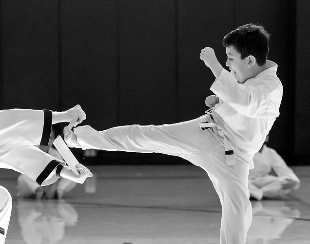 taekwondokid