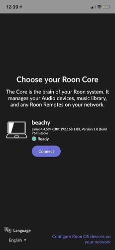 Roon Screenshot 1