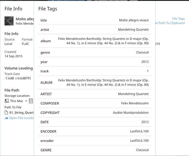 Existing tags within Roon