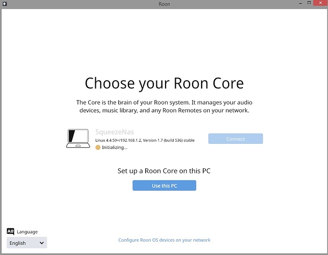 ROON stuck on Initializing