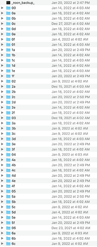 roon-backup-2022-folder-2