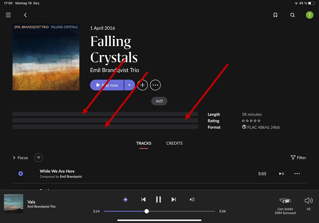 Roon - Black strips on PC and iPad - When pressing a new album - Roon ...