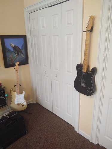 walls of guitars (5)