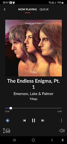 Screenshot_20221228_205742_Roon