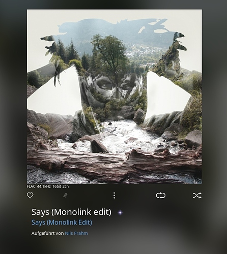 Says%20Monolink