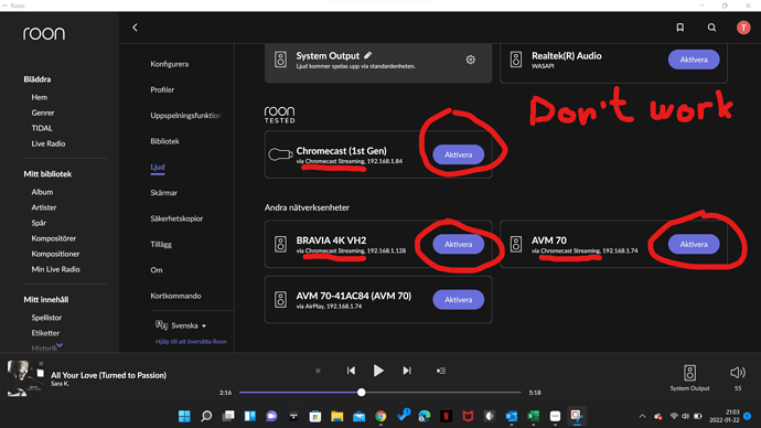 Roon Cromecast