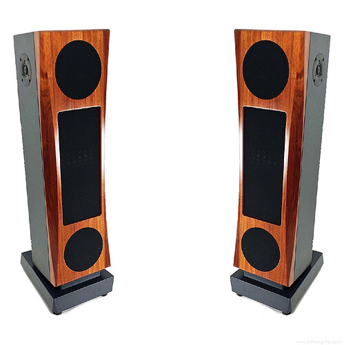 janszen_valentina_p8_electrostatic_hybrid_loudspeaker