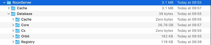 New Roonserver database