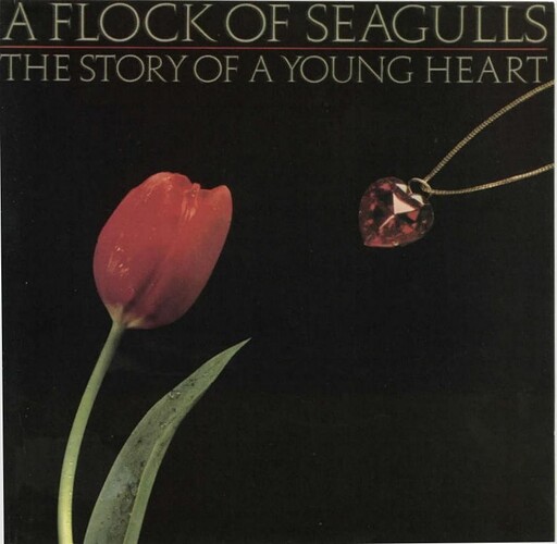 A Flock Of Seagulls - The Story Of A Young Heart