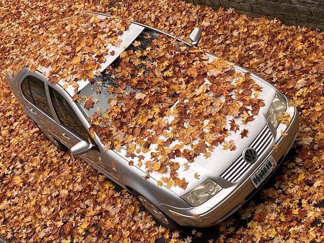 20221024_172410686_iOS