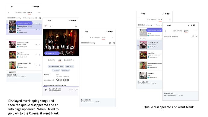 Roon Slowness Example Update_Page_2