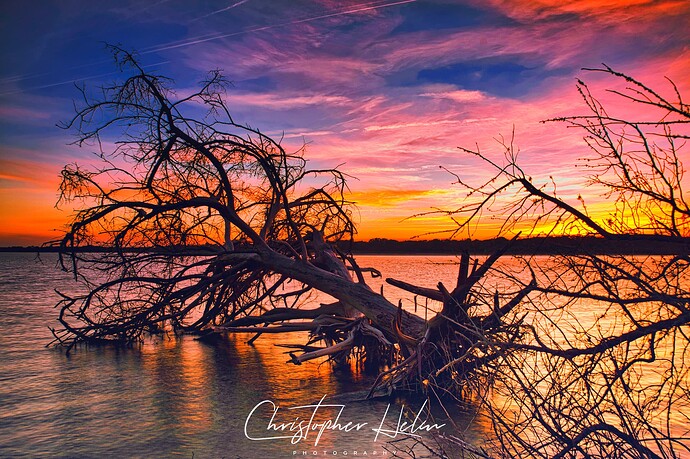 Fallen Tree RED_SIG