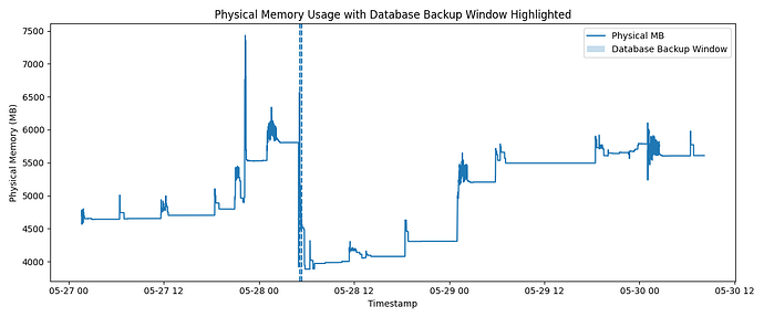 roonmemorybackupwindow