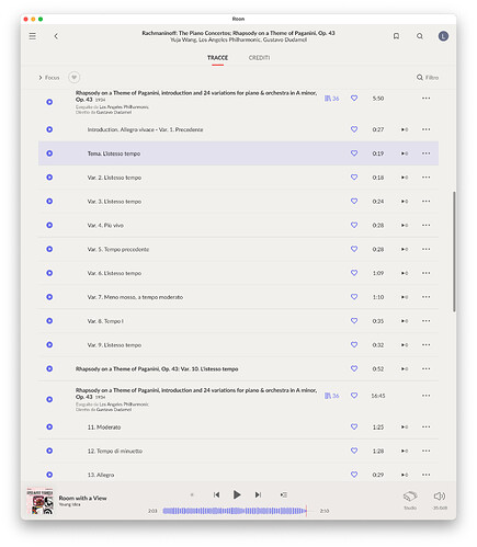 Roon_metadata