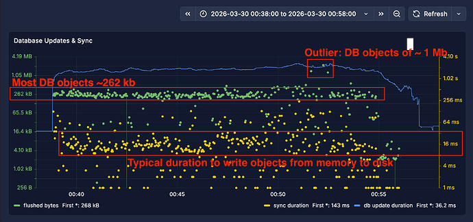 06_roon_server_leveldb_flush_sync_20min_view