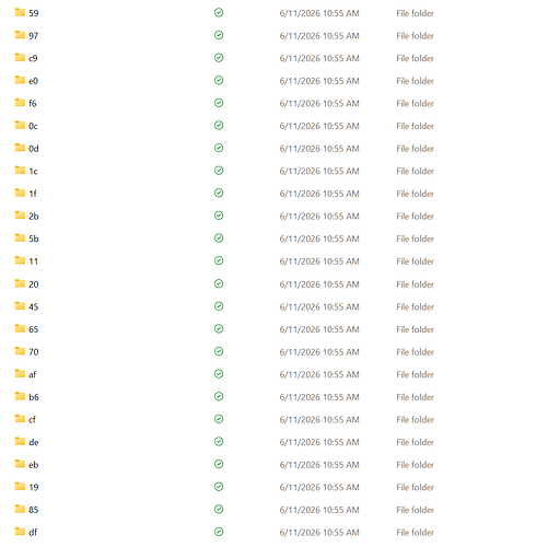 Screenshot 2026-06-19 113911
