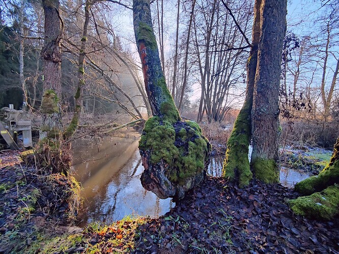IMG20241225140021-EDIT