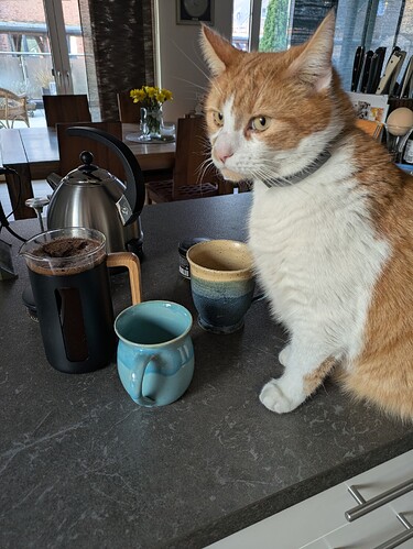 PXL_20250321_060407438