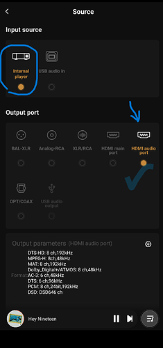 HDMI Audio port-a