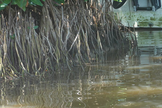 4d355372-49fe-42f6-b443-cc0ddb3d1fab-1_all_150916