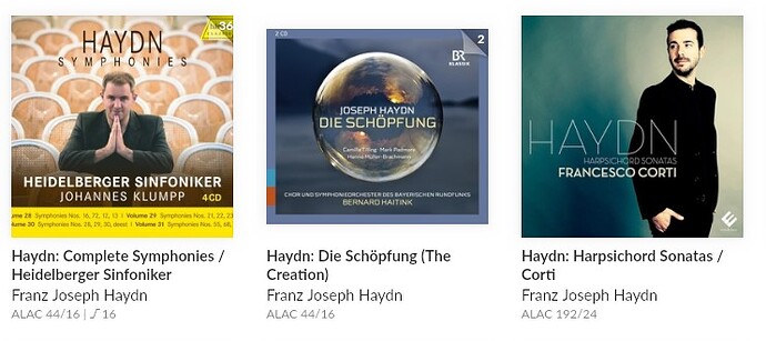 Haydn Roon