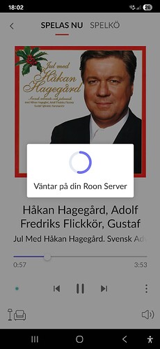Screenshot_20251208_180237_Roon