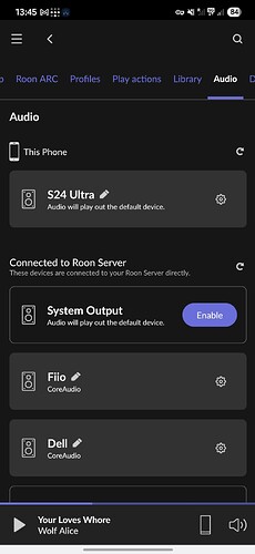 Screenshot_20250905_134507_Roon