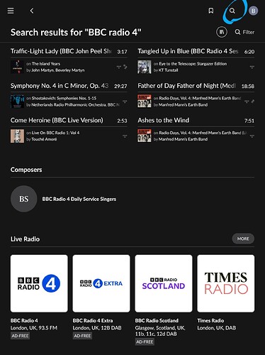 Screenshot_20251119-175525_Roon
