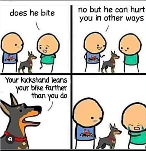 1000005232