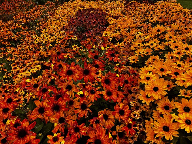 IMG_9723