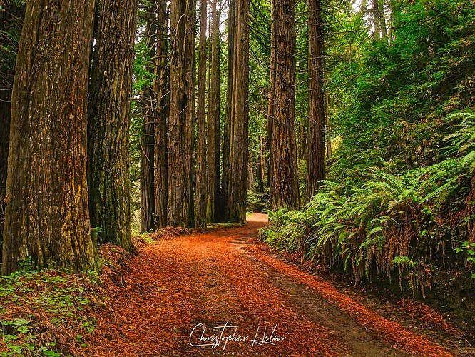 Road Less Travelled_SIG