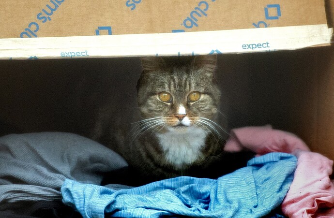 tootsie_box
