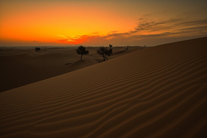 _ABU0451