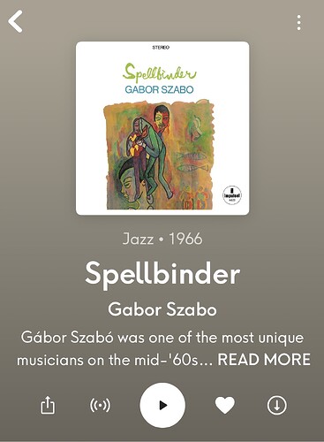 IMG3398