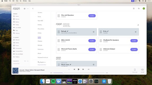 Roon Server Audio Settings