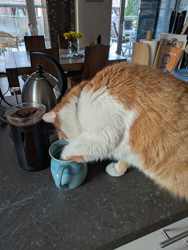 PXL_20250321_060433680