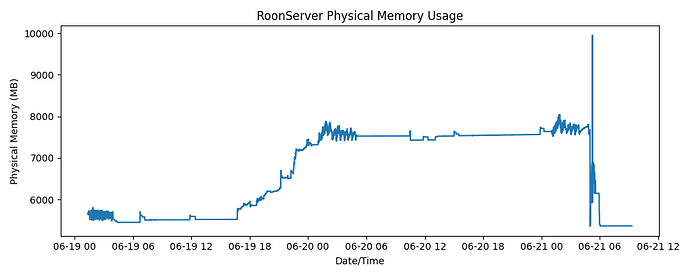 roonmemoryusage(3)