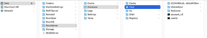 Screenshot 2025-03-20 at 14.07.00