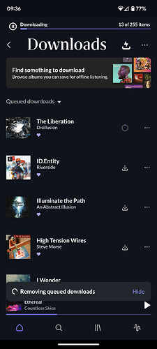 1000017197