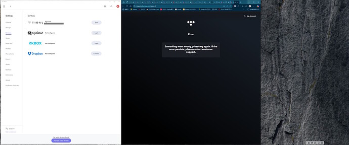 スクリーンショット (33)