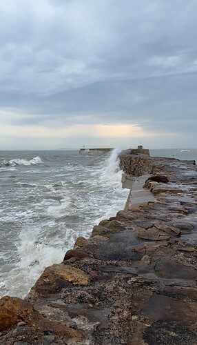 IMG_8753