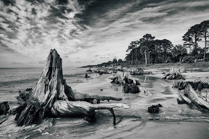 Carrabelle Beach-93