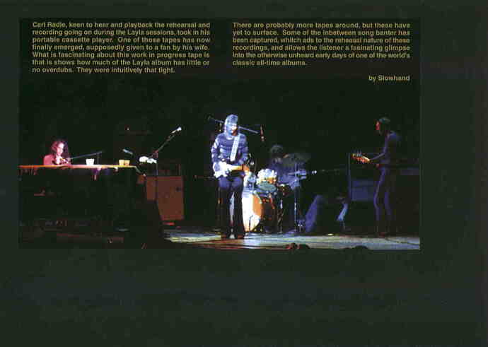 dominos-substance-1-in2