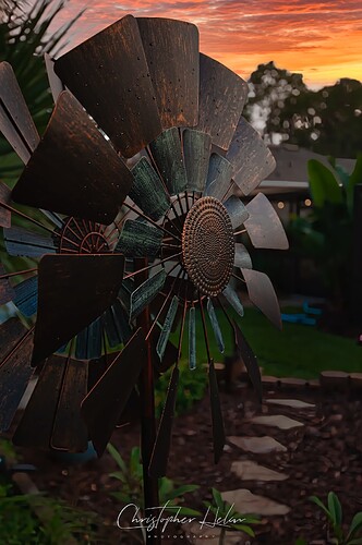 Windmill Backyard_NEO_SIG