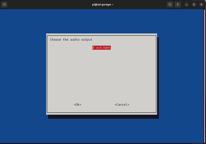 Screenshot from 2025-03-21 13-38-33